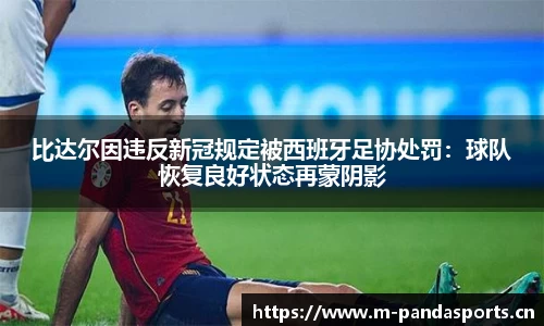 熊猫体育平台