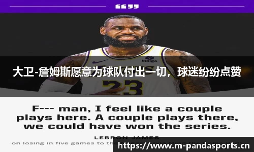 熊猫体育