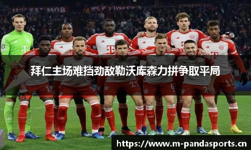 熊猫体育官网