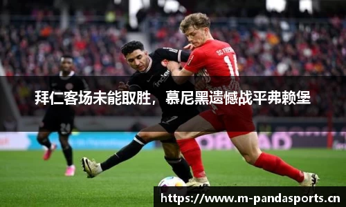 熊猫体育