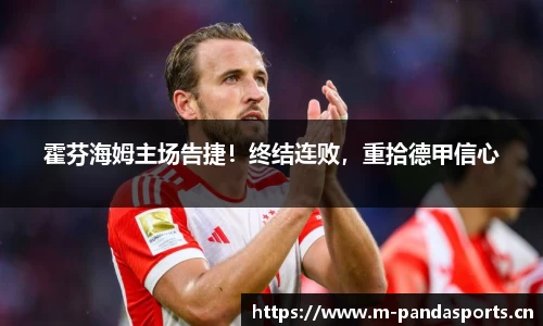 熊猫体育