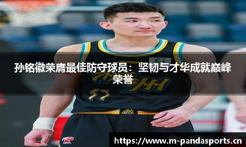 熊猫体育平台
