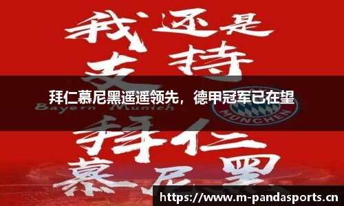 熊猫体育