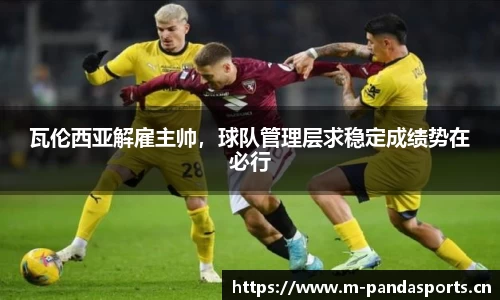 熊猫体育官网