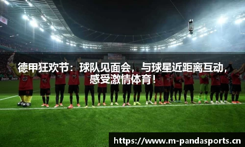 熊猫体育官网