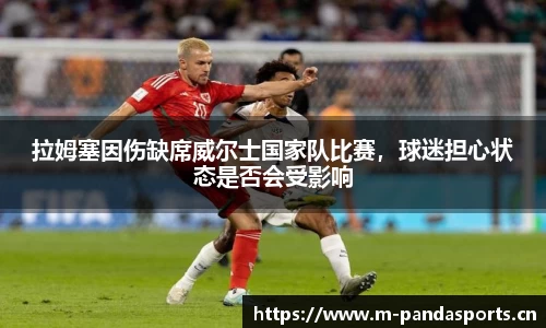 熊猫体育平台