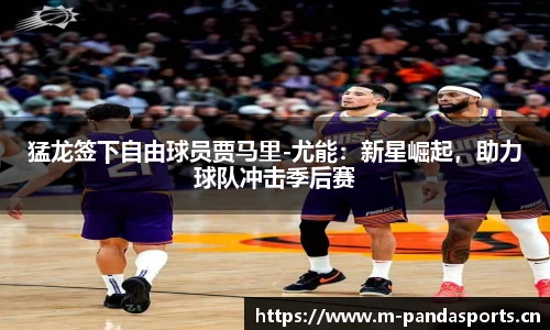 熊猫体育官网