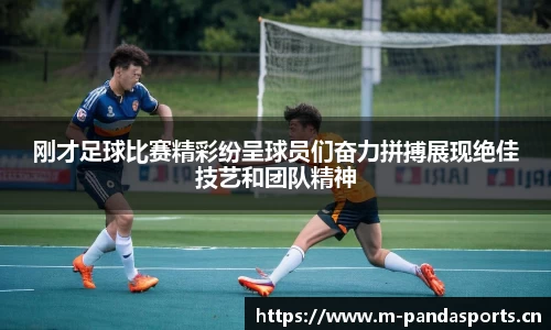 刚才足球比赛精彩纷呈球员们奋力拼搏展现绝佳技艺和团队精神
