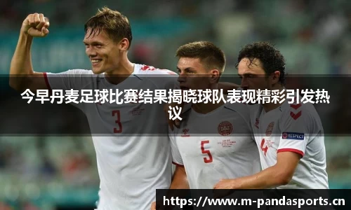 今早丹麦足球比赛结果揭晓球队表现精彩引发热议