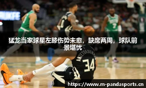 熊猫体育平台