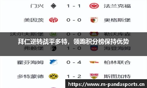 熊猫体育