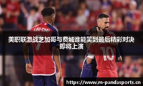 熊猫体育平台