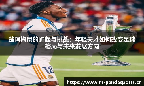 熊猫体育平台