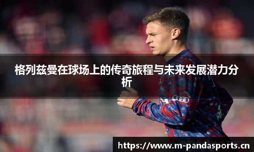 熊猫体育平台