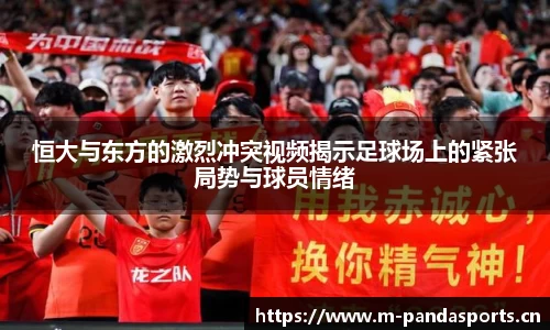 熊猫体育官网