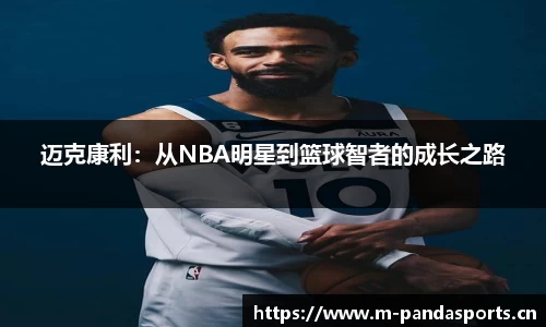 熊猫体育官网