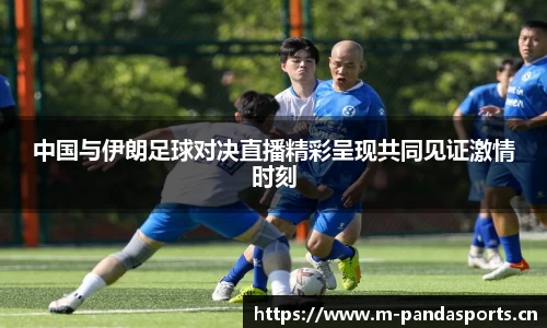 熊猫体育官网