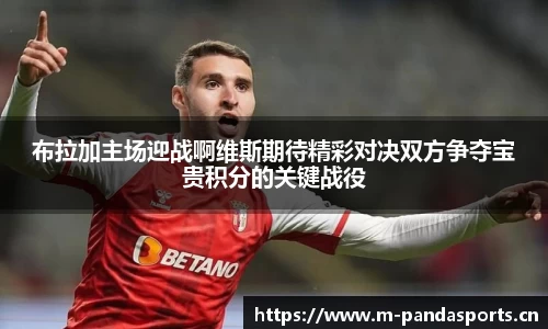 熊猫体育
