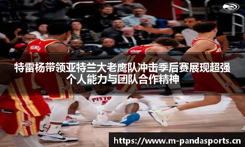 熊猫体育