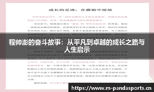 熊猫体育官网