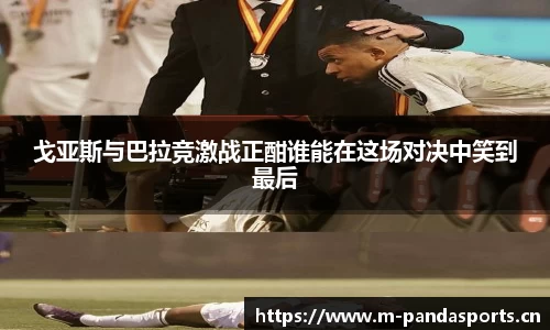 熊猫体育平台