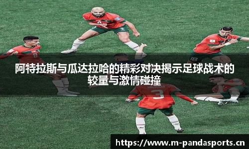 熊猫体育官网