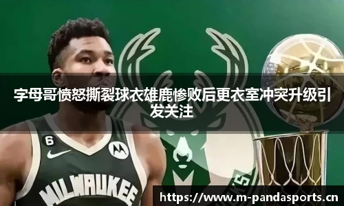熊猫体育