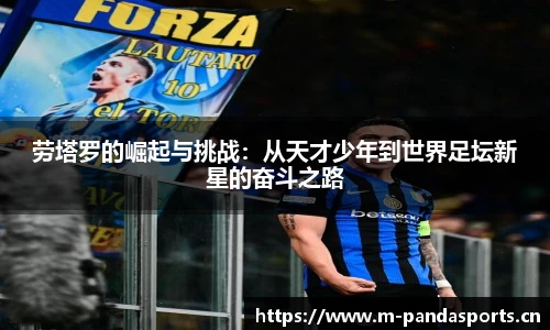 熊猫体育官方网站