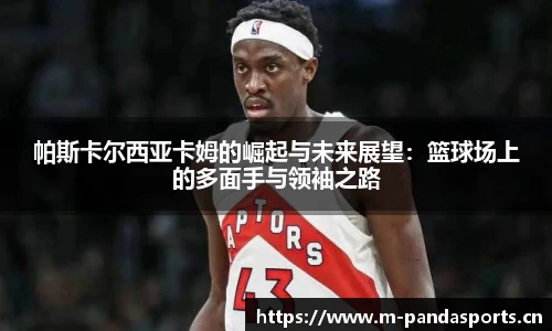 熊猫体育