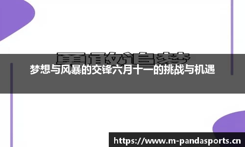 熊猫体育官网