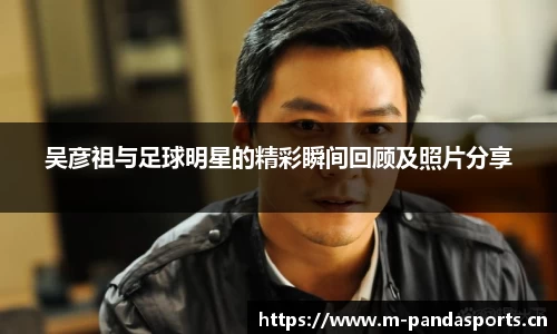 熊猫体育官网