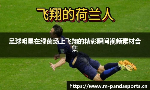 熊猫体育平台